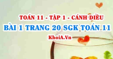 Bài 1 trang 20 SGK Toán 11 tập 1 Cánh Diều